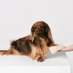 Snooza Skin And Coat Care Pet Wipes Unbleached -Habitat Pets Supplies Snooza Skin and Coat Care Pet Wipes Unbleached 5