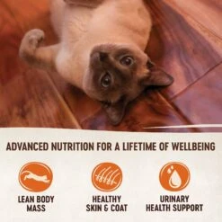 Wellness CORE Simply Shreds Flaked Wild Salmon And Tuna Wet Cat Food 50g X 12 -Habitat Pets Supplies Wellness CORE Simply Shreds Flaked Wild Salmon and Tuna Wet Cat Food 50g x 12 7
