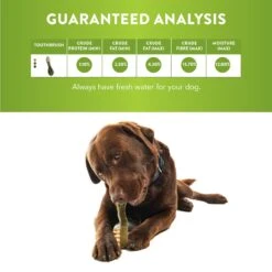 Whimzees Toothbrush Dental Dog Treats Large 30 Pack -Habitat Pets Supplies Whimzees Toothbrush Dental Dog Treats Large 30 Pack 7