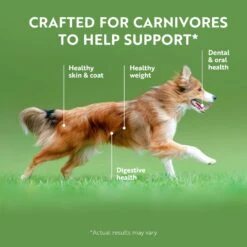 ZIWI Peak Air Dried Tripe And Lamb Recipe Dog Food 454g -Habitat Pets Supplies ZIWI Peak Air Dried Tripe and Lamb Recipe Dog Food 454g 6