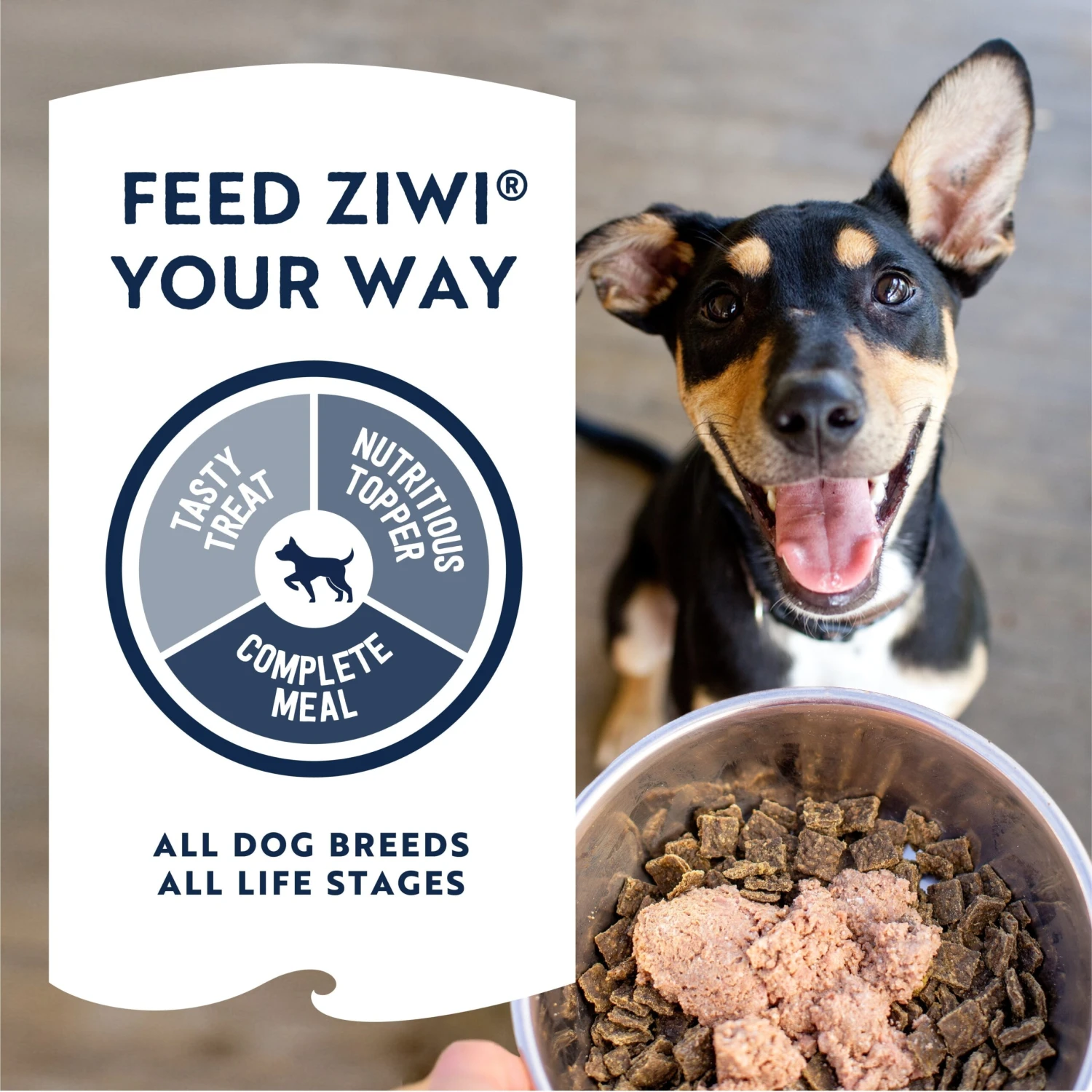 ZIWI Peak Wet Beef Recipe Dog Food 390g 6 ZIWI Peak Wet Beef Recipe Dog Food 390g - Image 6