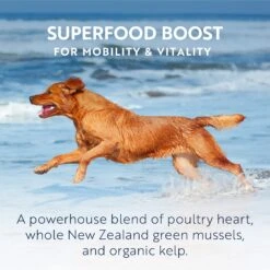 ZIWI Peak Wet Chicken Recipe Dog Food 390g -Habitat Pets Supplies ZIWI Peak Wet Chicken Recipe Dog Food 390g 7