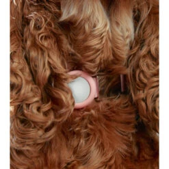 Frank Green Khaki AirTag Holder Large -Habitat Pets Supplies frank green Khaki AirTag Holder Large 5