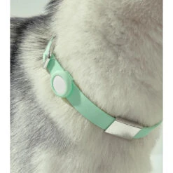 Frank Green Khaki AirTag Holder Medium -Habitat Pets Supplies frank green Khaki AirTag Holder Medium 4