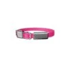 Frank Green Neon Pink Dog Collar And Tag Small