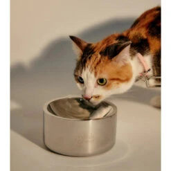 Frank Green Stainless Steel Dog Bowl Small -Habitat Pets Supplies frank green Stainless Steel Dog Bowl Small 4